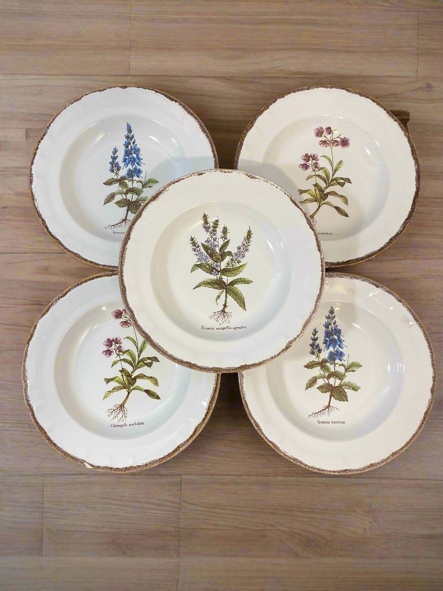 Set of 5 Vintage French Botanical Soup Plates by ADP Table – Provencal Flora — photo 4
