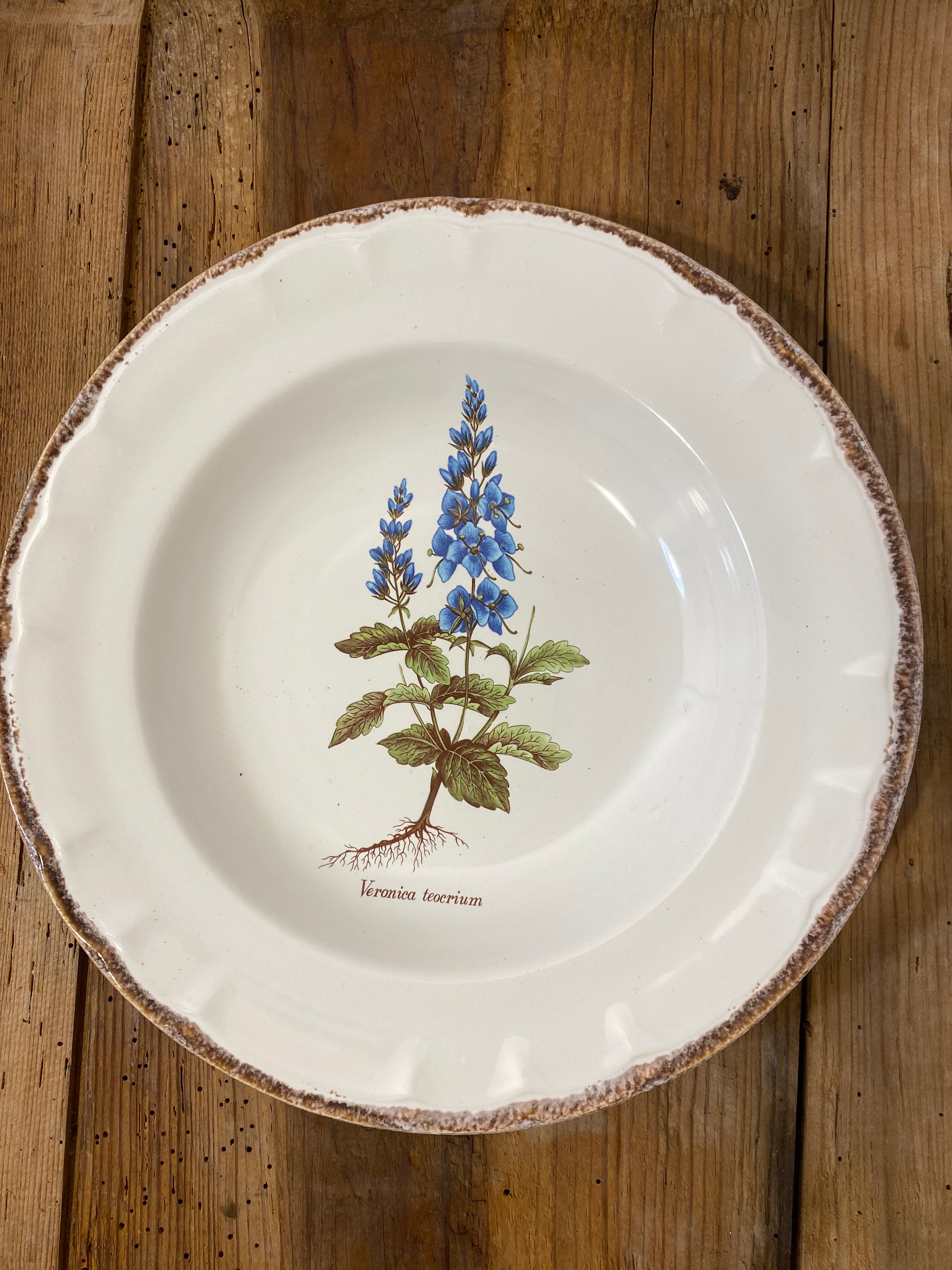 Set of 5 Vintage French Botanical Soup Plates by ADP Table – Provencal Flora — photo 6