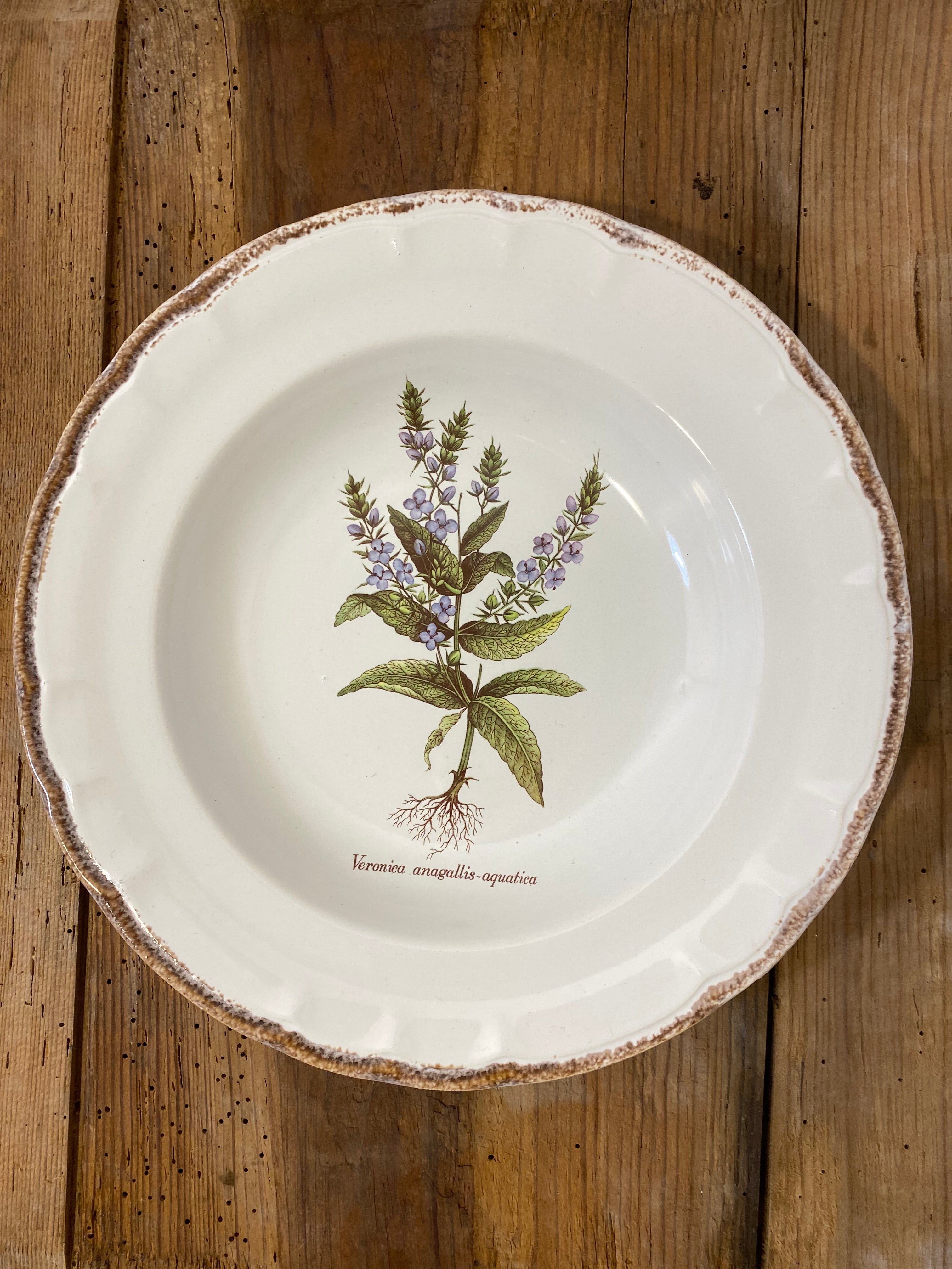 Set of 5 Vintage French Botanical Soup Plates by ADP Table – Provencal Flora — photo 7