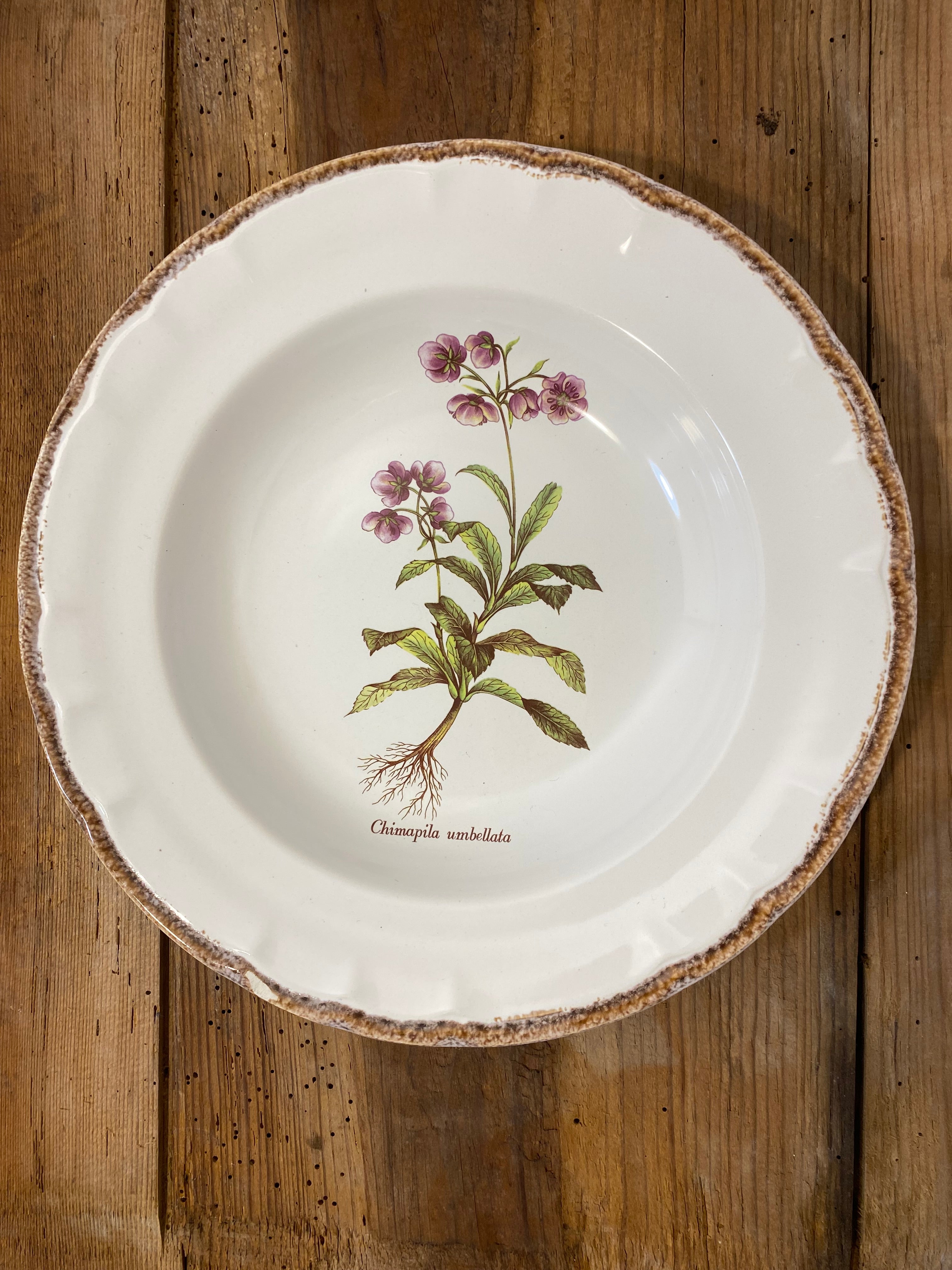 Set of 5 Vintage French Botanical Soup Plates by ADP Table – Provencal Flora — photo 8