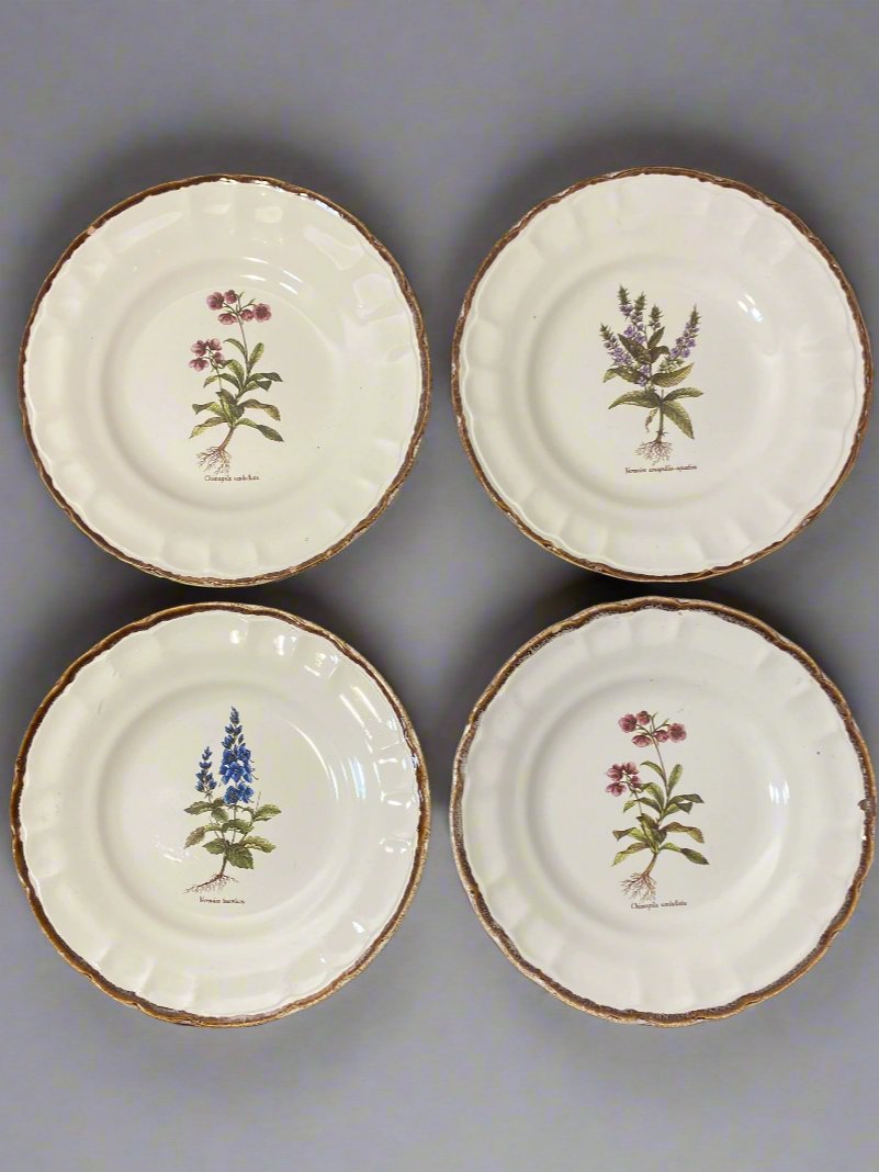 Set of 10 Vintage Varages Provence Botanical Plates — photo 2