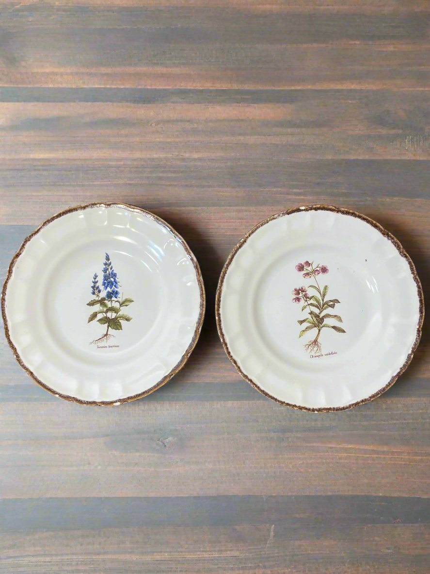 Set of 10 Vintage Varages Provence Botanical Plates — photo 3