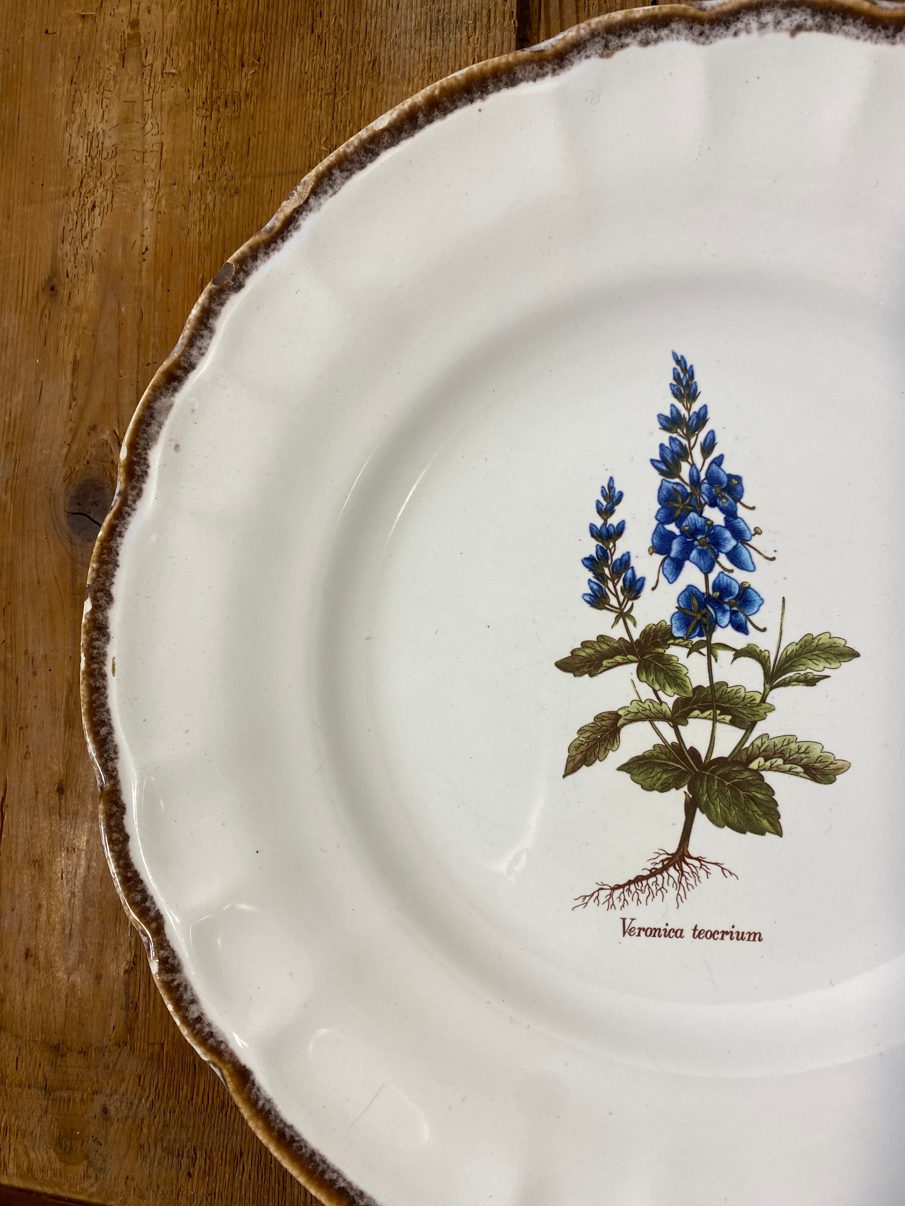 Set of 10 Vintage Varages Provence Botanical Plates — photo 6