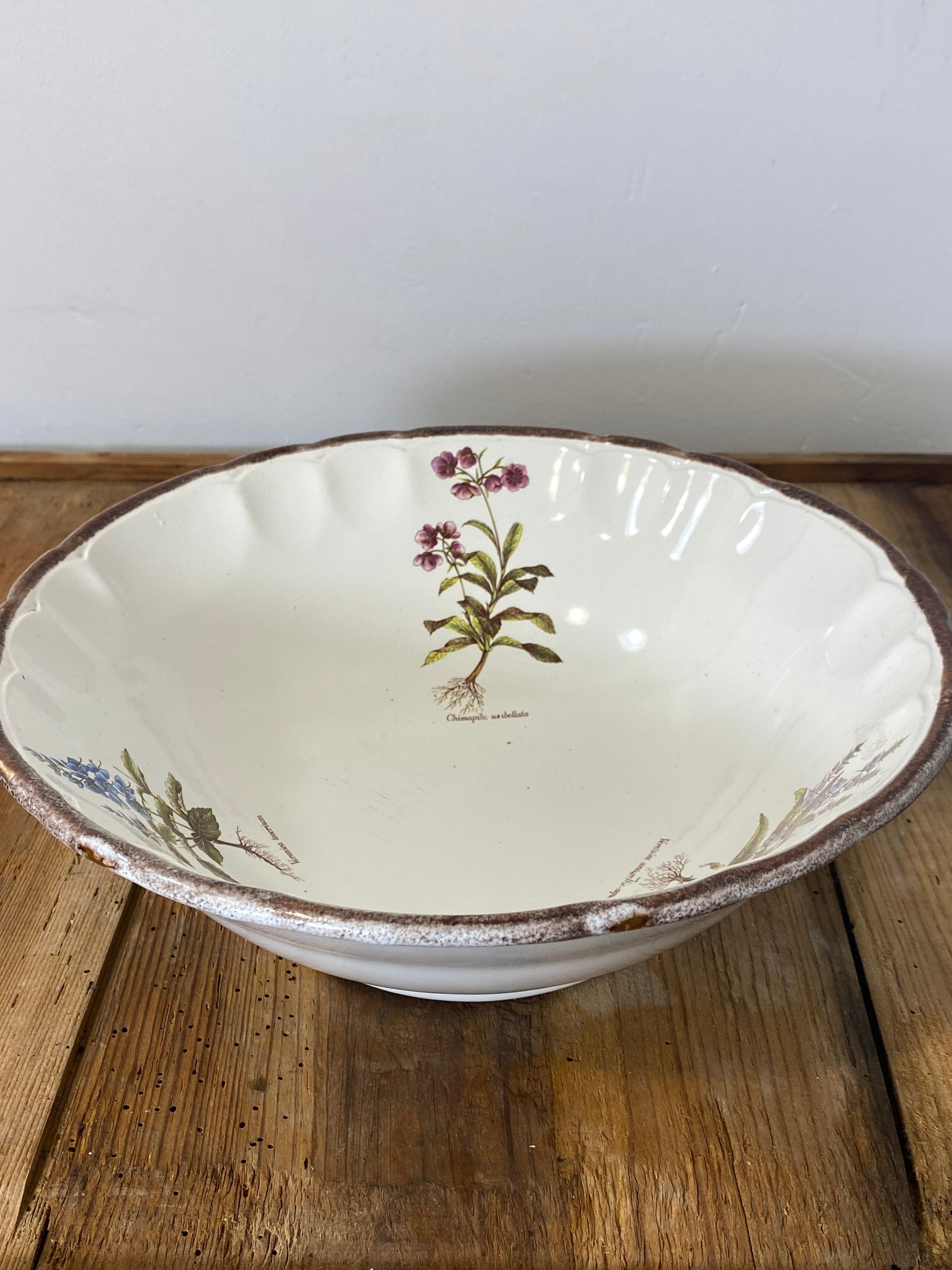 Vintage French Botanical Faïence Set – Soup Bowl & 3 Plates, Haute Provence — photo 2