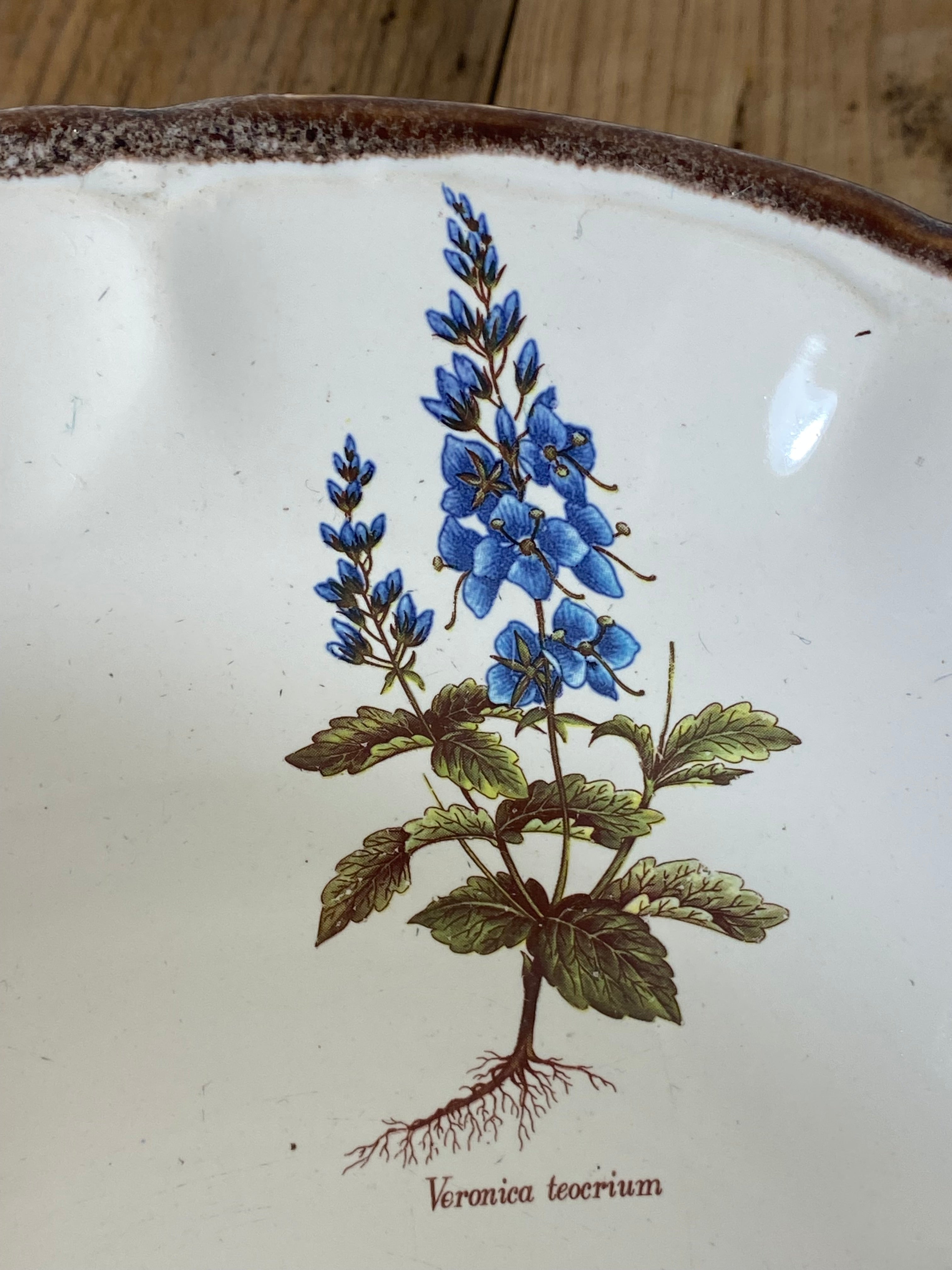 Vintage French Botanical Faïence Set – Soup Bowl & 3 Plates, Haute Provence — photo 3