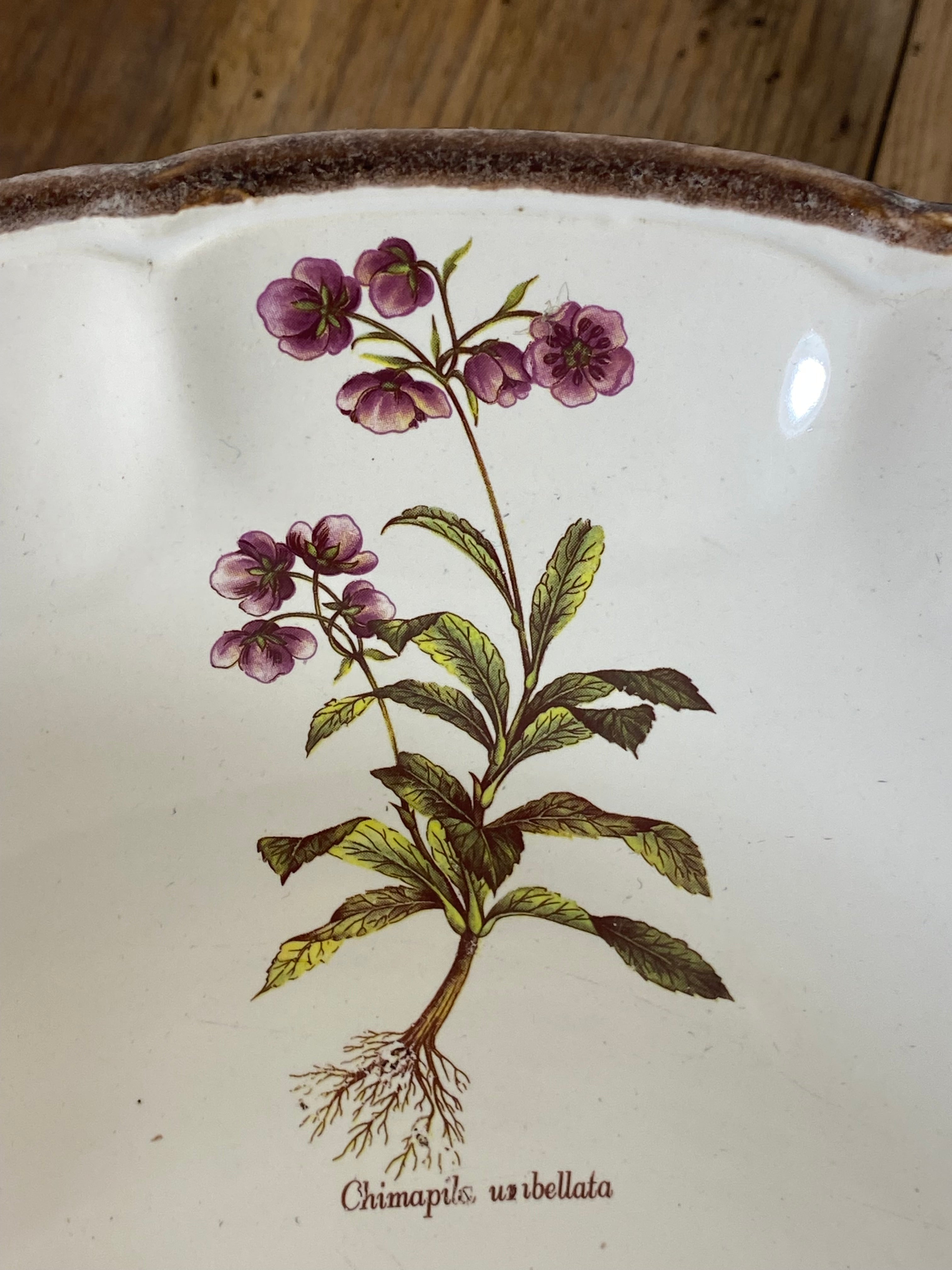 Vintage French Botanical Faïence Set – Soup Bowl & 3 Plates, Haute Provence — photo 4