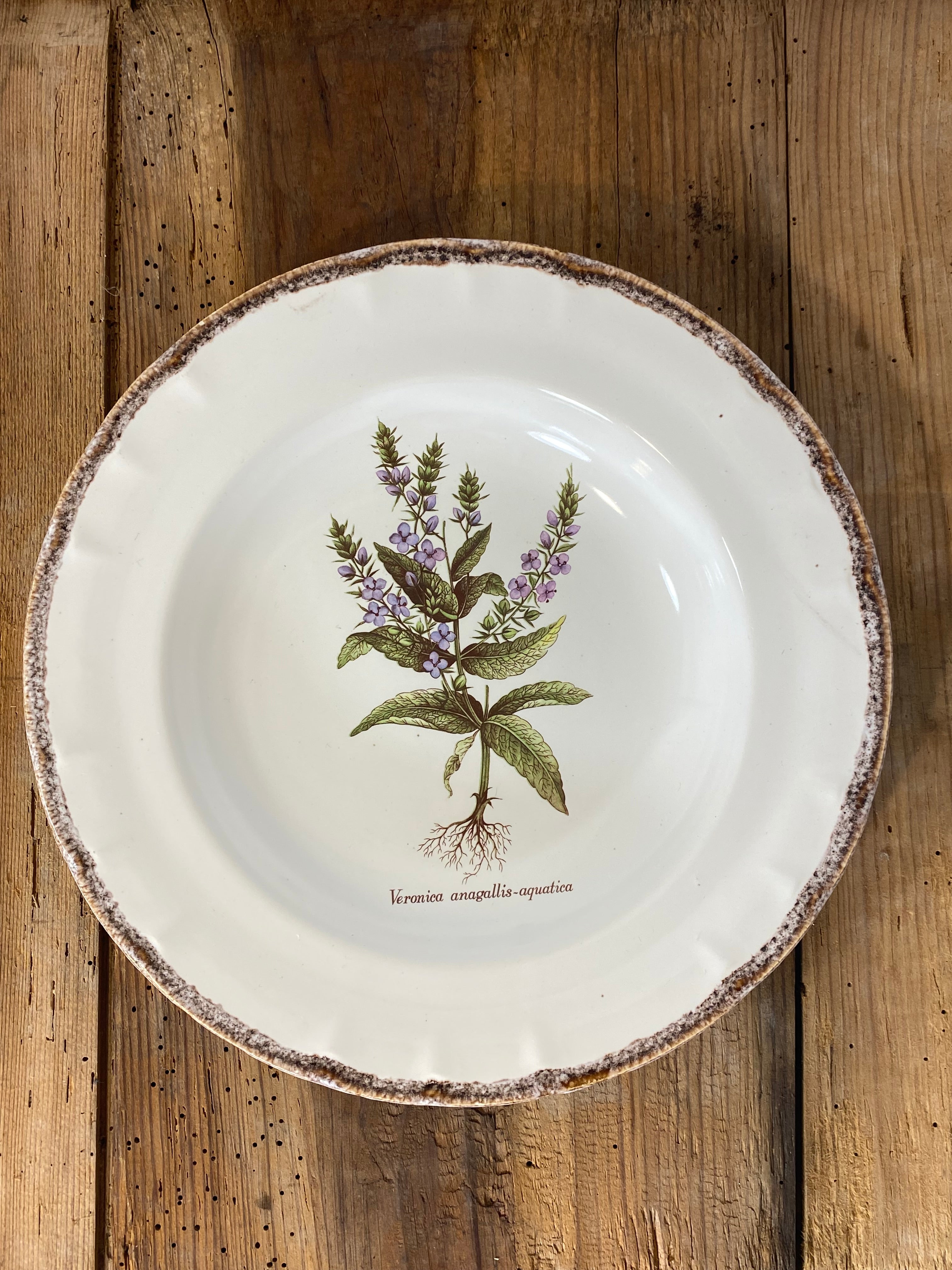 Vintage French Botanical Faïence Set – Soup Bowl & 3 Plates, Haute Provence — photo 7