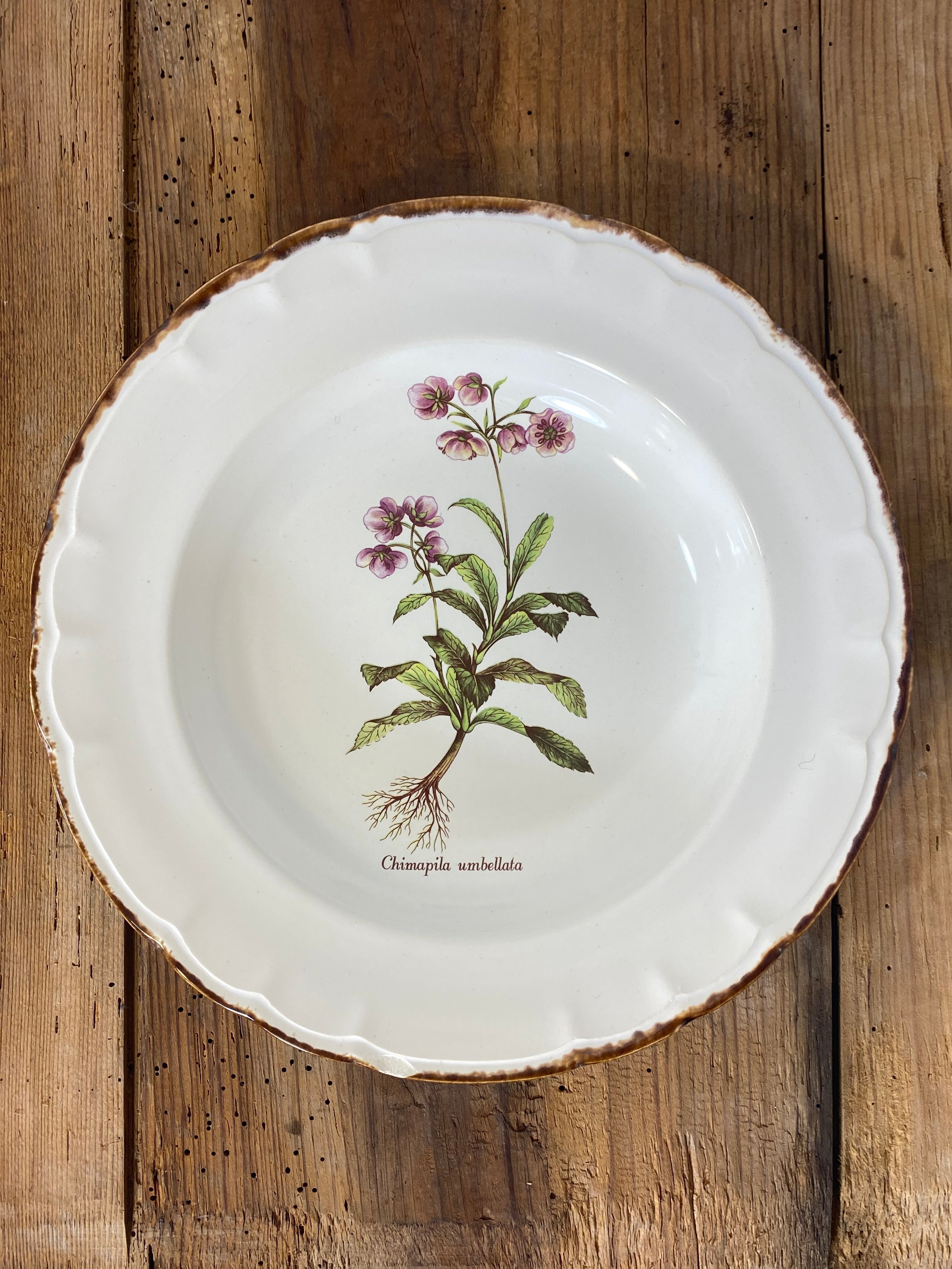Vintage French Botanical Faïence Set – Soup Bowl & 3 Plates, Haute Provence — photo 9