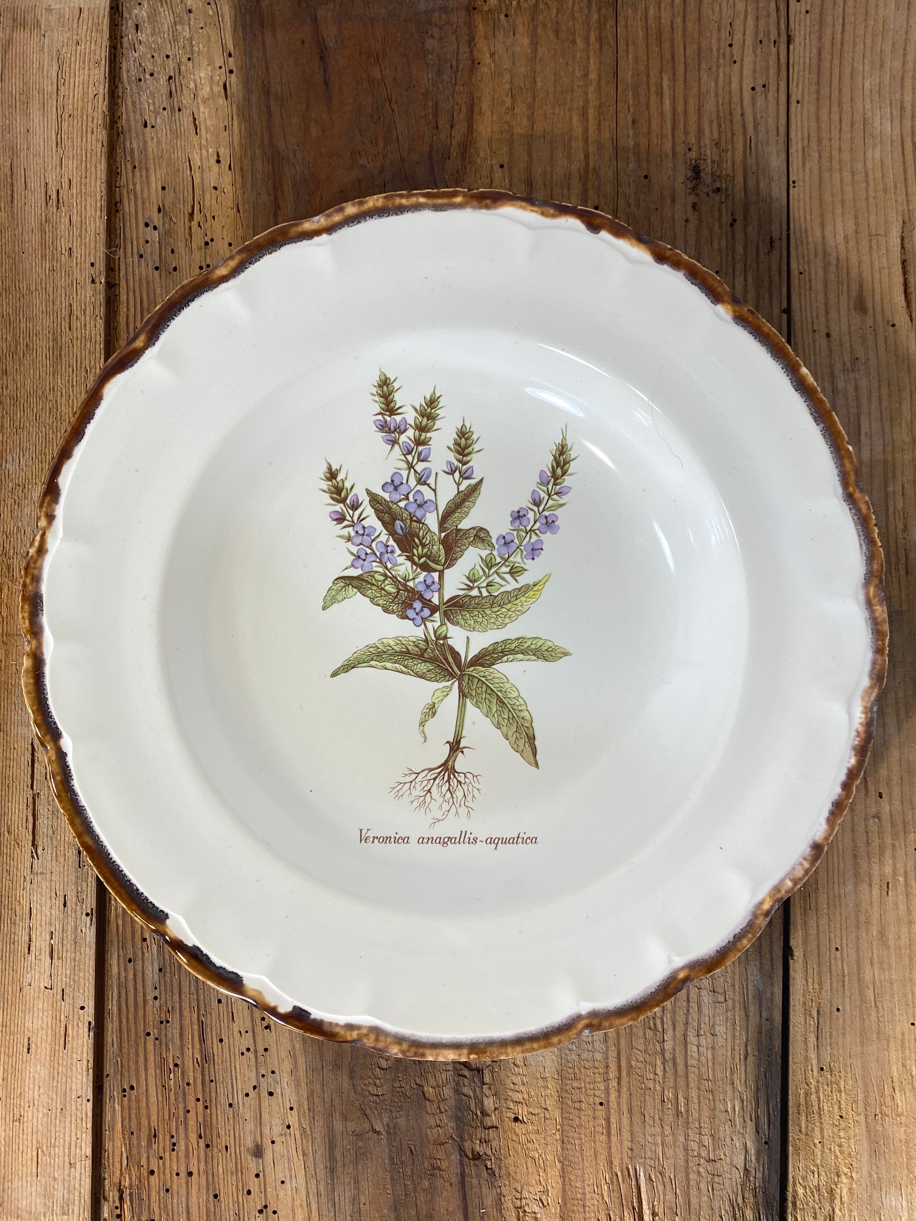 Vintage French Botanical Faïence Set – Soup Bowl & 3 Plates, Haute Provence — photo 11