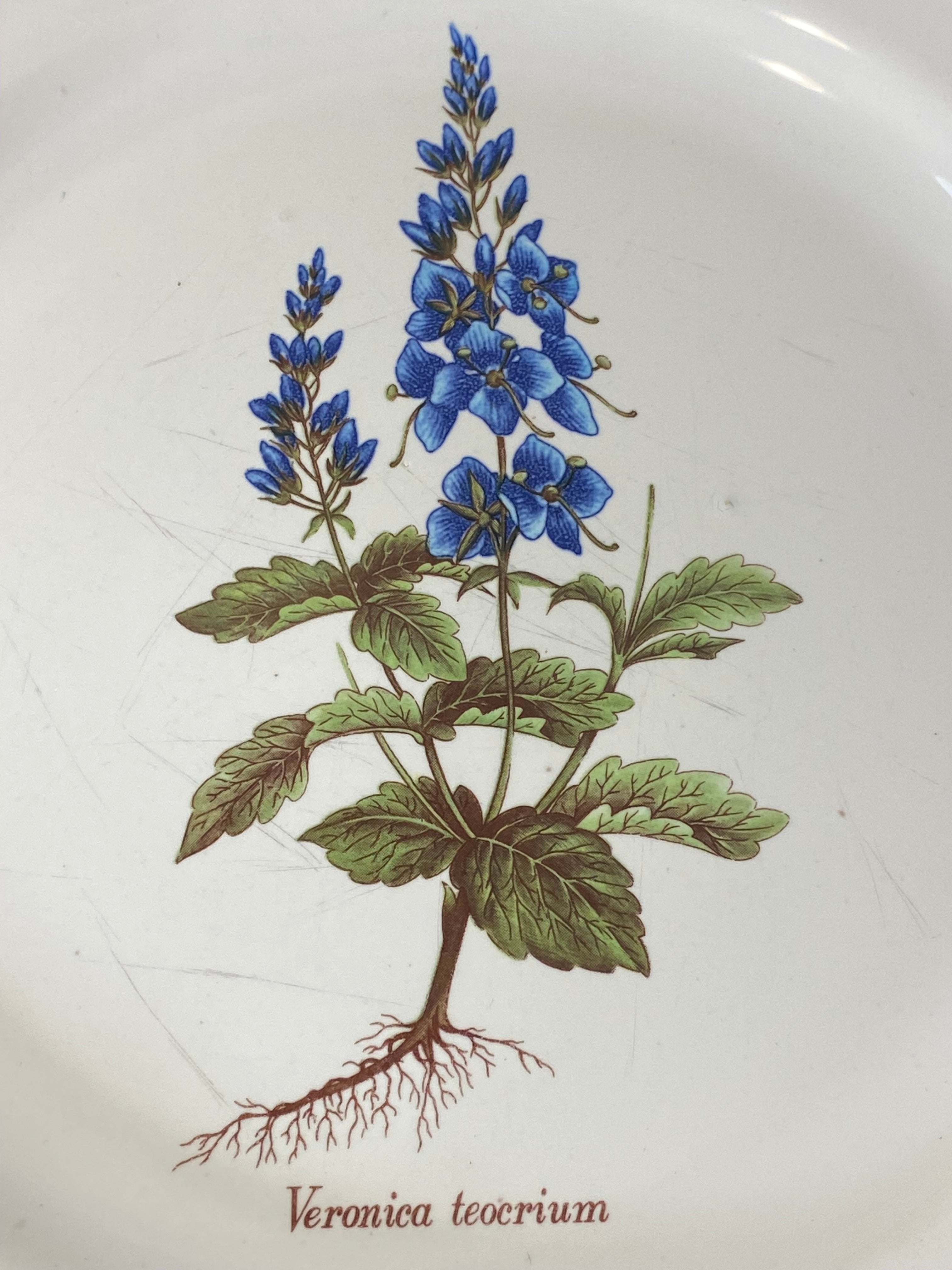 Vintage French Botanical Faïence Plate - Faiences -Haute Provence — photo 4