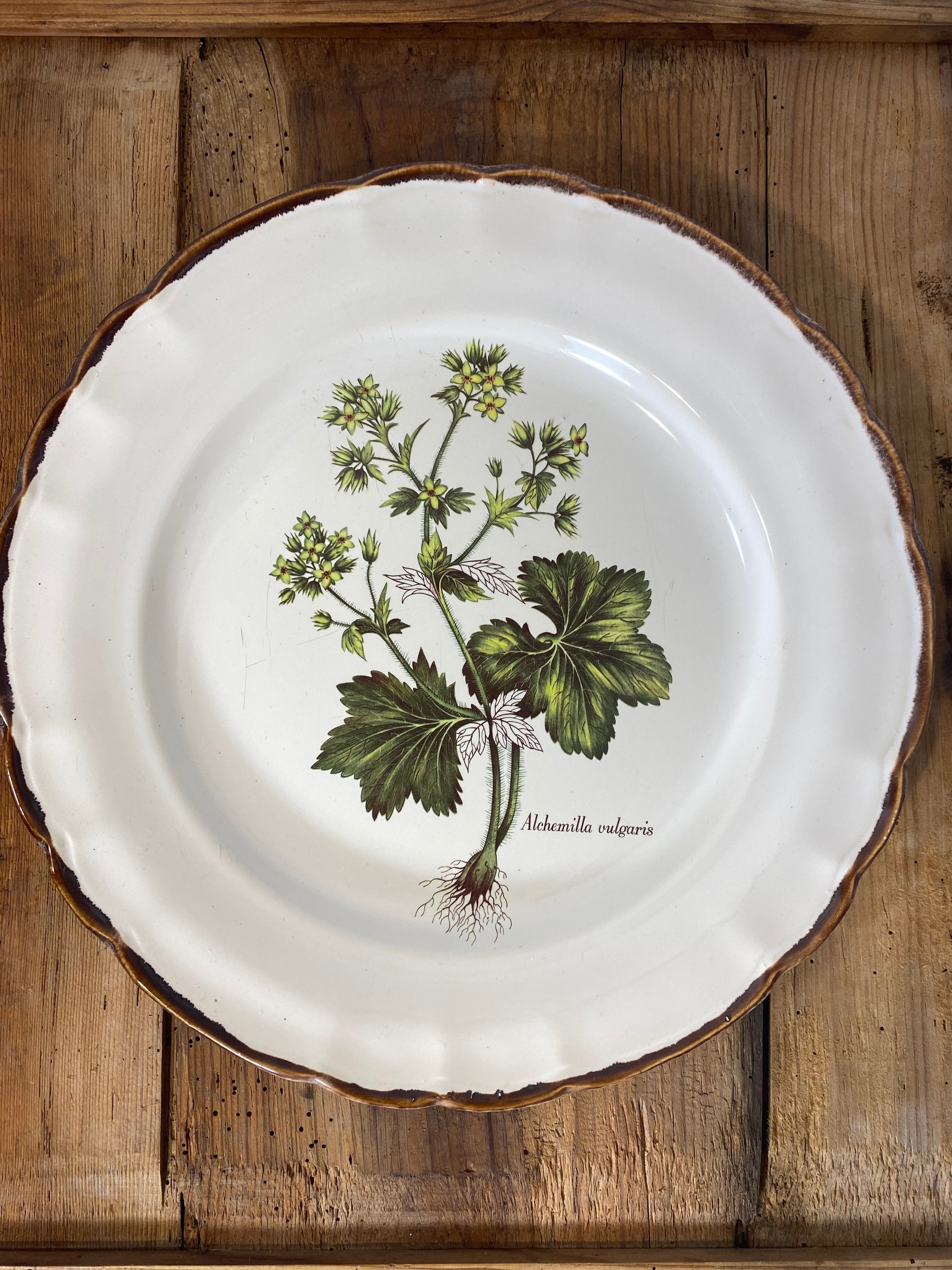 Vintage French Botanical Faïence Set – Platter, Large Plate & 3 Plates