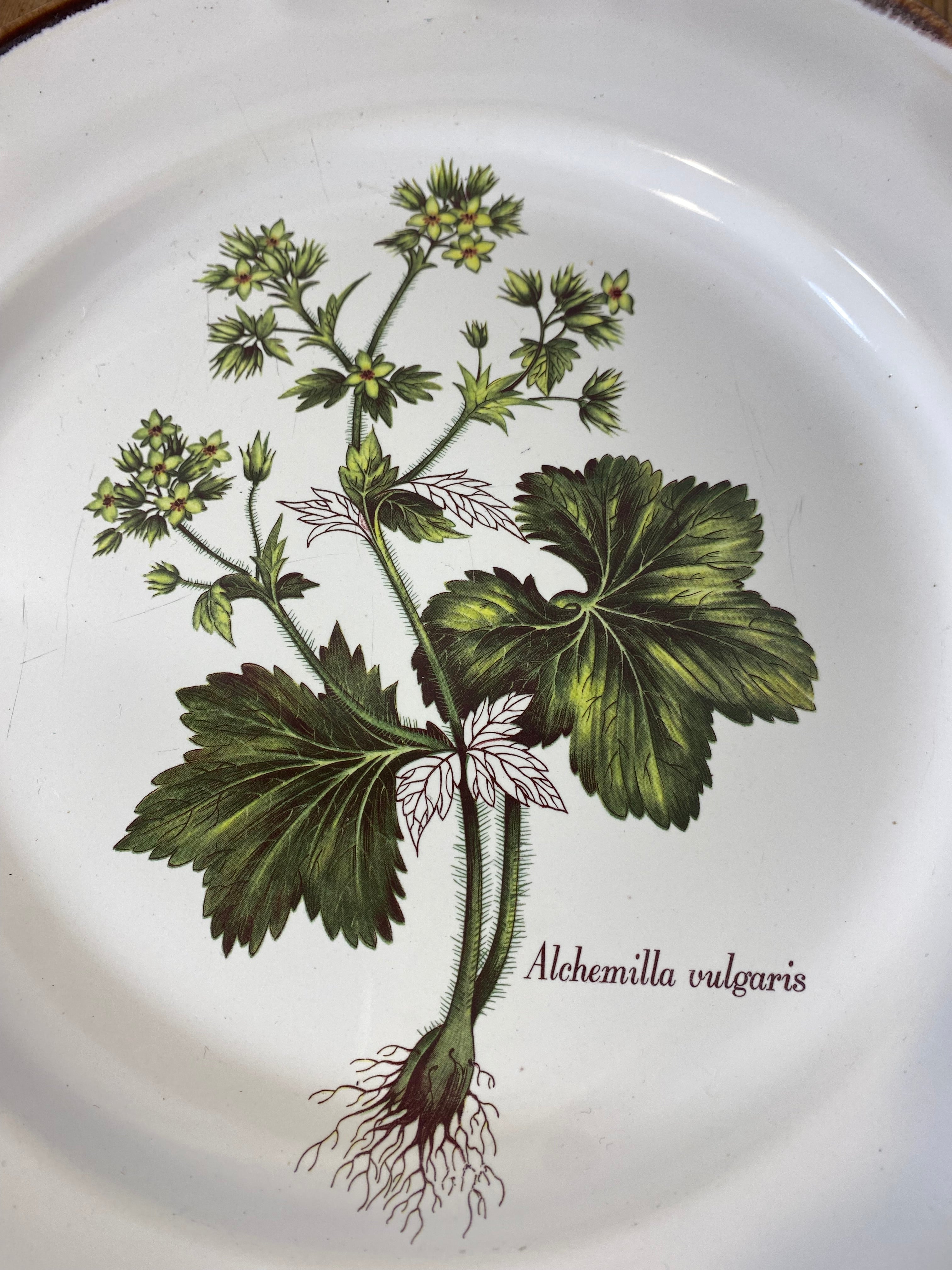 Vintage French Botanical Faïence Set – Platter, Large Plate & 3 Plates — photo 2