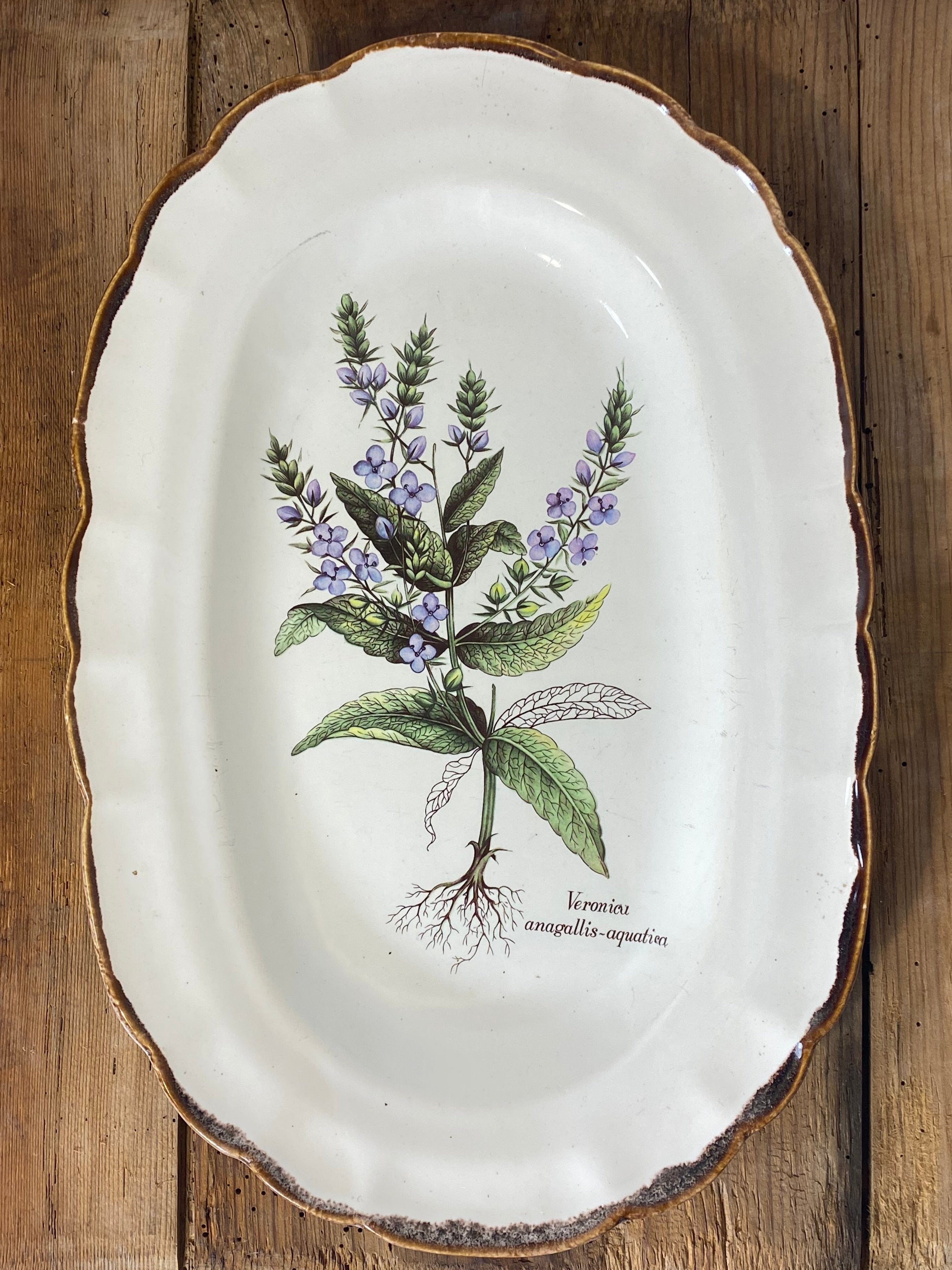 Vintage French Botanical Faïence Set – Platter, Large Plate & 3 Plates — photo 4