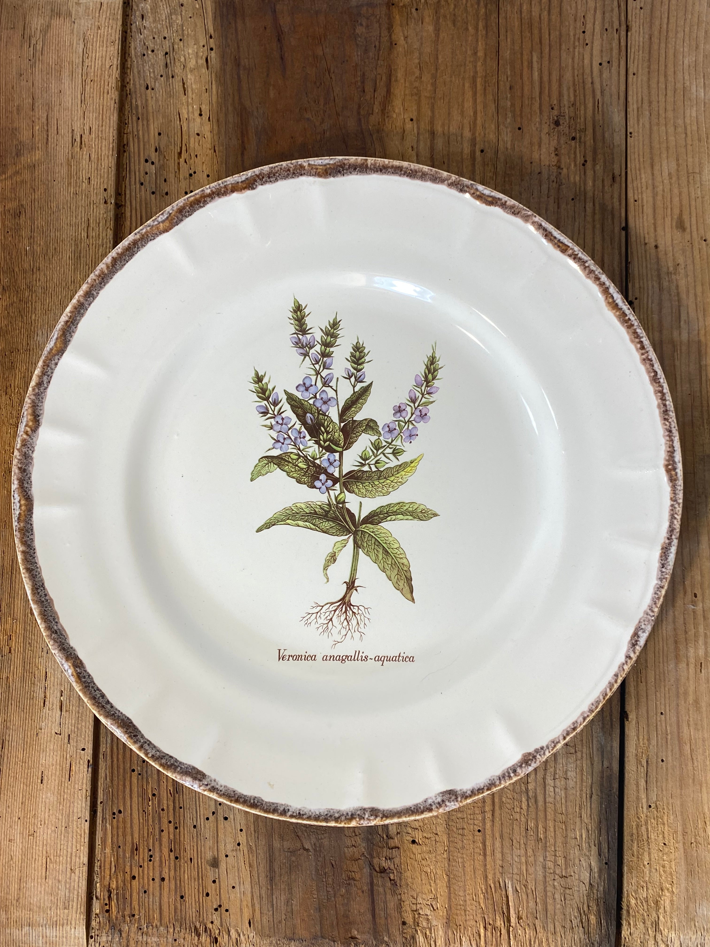 Vintage French Botanical Faïence Set – Platter, Large Plate & 3 Plates — photo 7