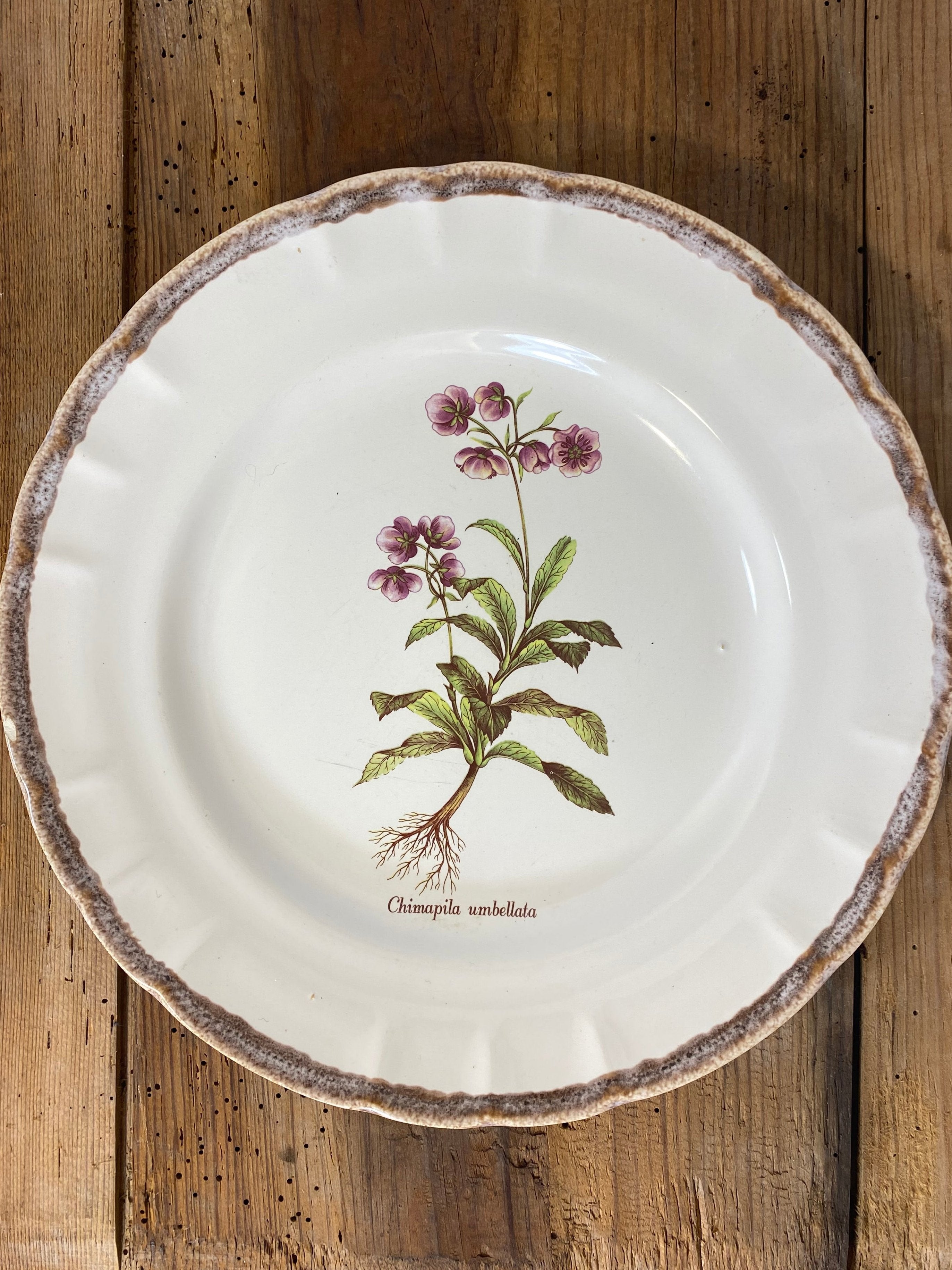 Vintage French Botanical Faïence Set – Platter, Large Plate & 3 Plates — photo 9