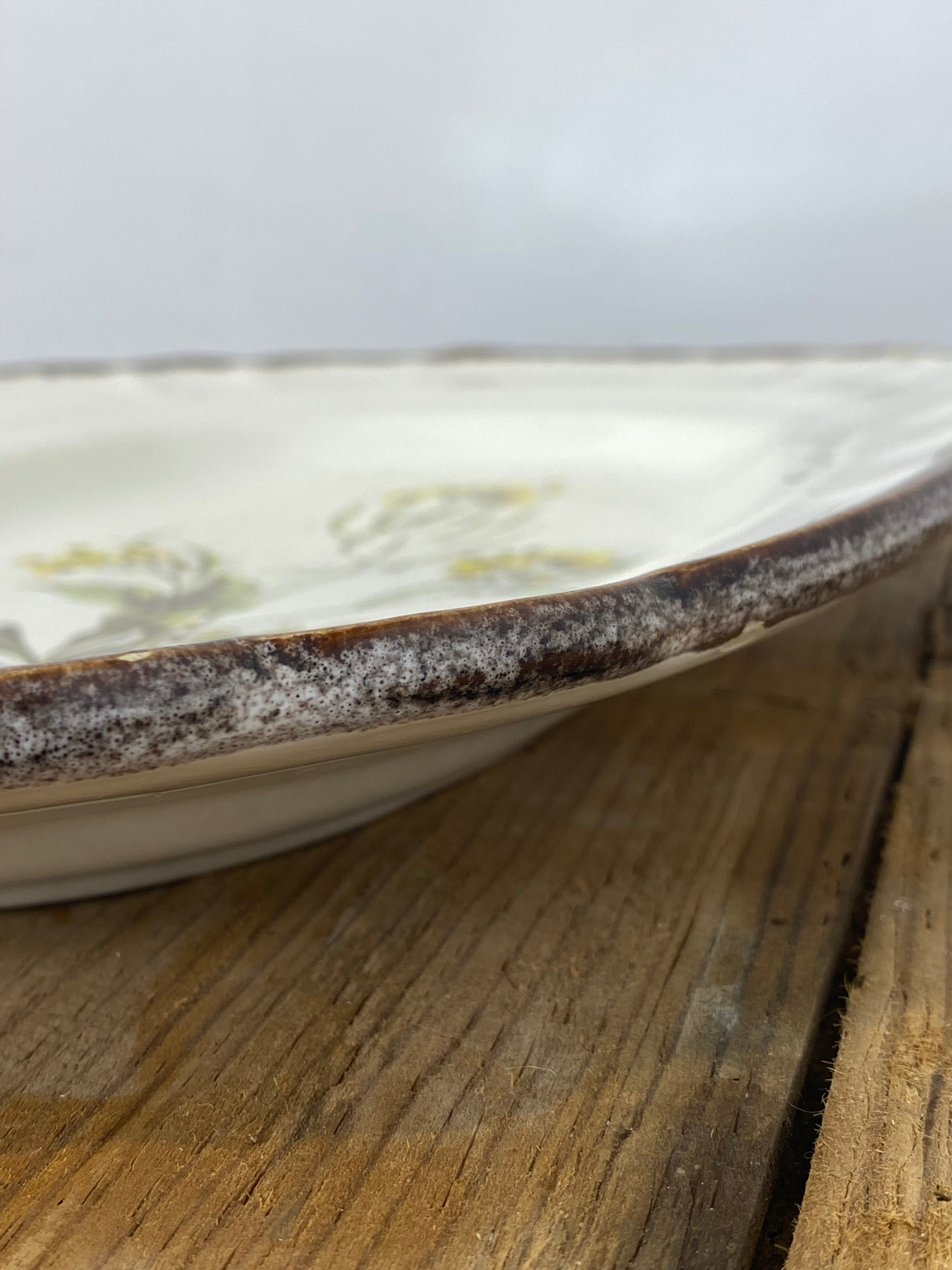 Vintage French Botanical Faïence Platter – "Diplotaxis muralis" — photo 6