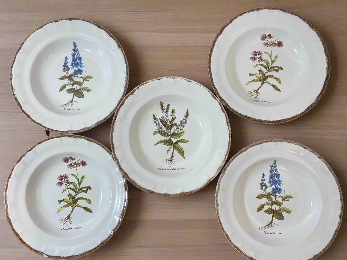 Set of 5 Vintage French Botanical Soup Plates by ADP Table – Provencal Flora — photo 3